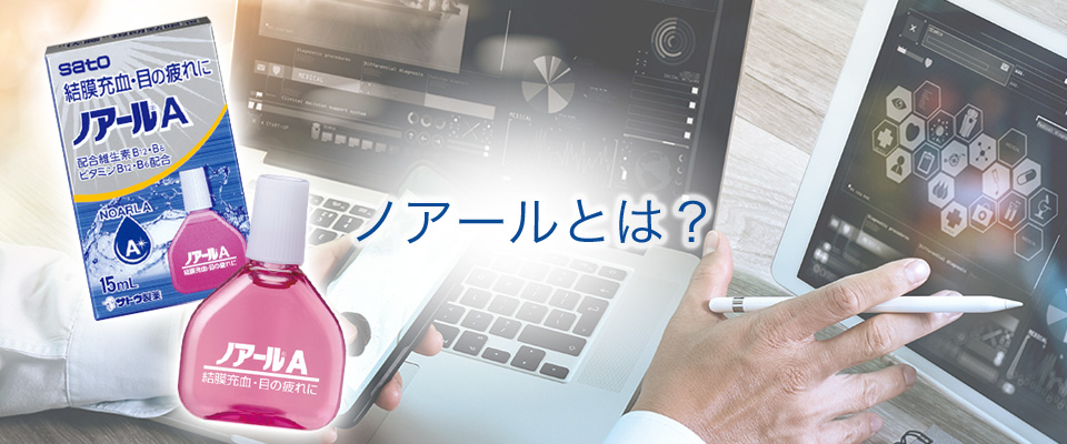 ノアールとは？
